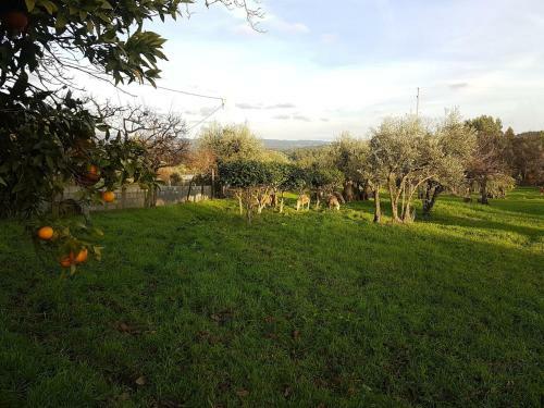 Quinta Jr - Casa De Campo