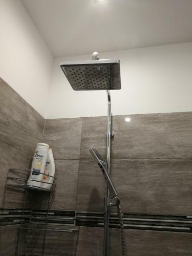 Apartament Pmc