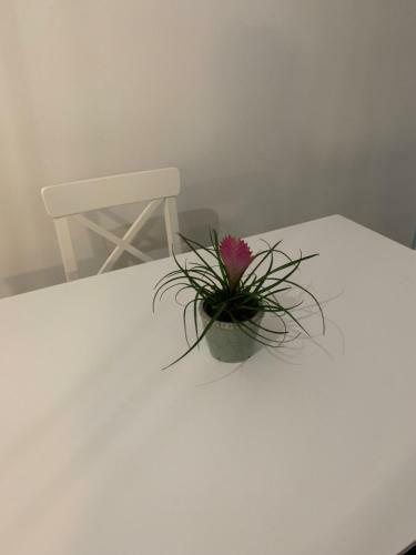 Apartamento Garsoniera De La Mare