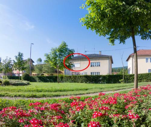 Apartman Vi?nja