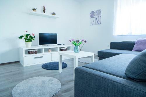 Apartman Vi?nja