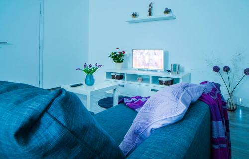 Apartman Vi?nja