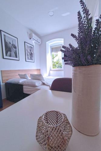 Studio Apartments Agostini