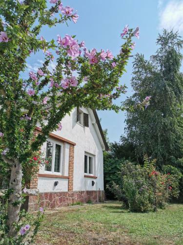 Apartamento Villa Vonyarc