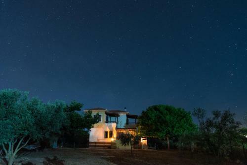 Karavos Grove