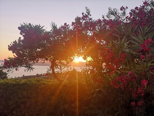 La Casa Sul Tramonto - Capoliveri
