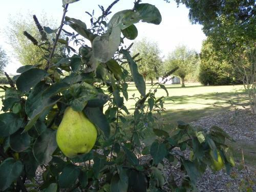 Bed & Breakfast Hoeve De Mertel