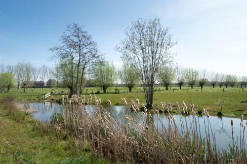 Bed & Breakfast Hoeve De Mertel