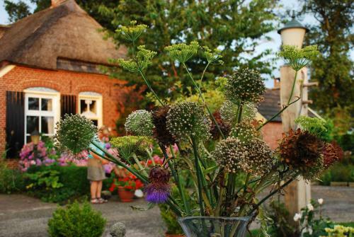Bed & Breakfast De Bolderie