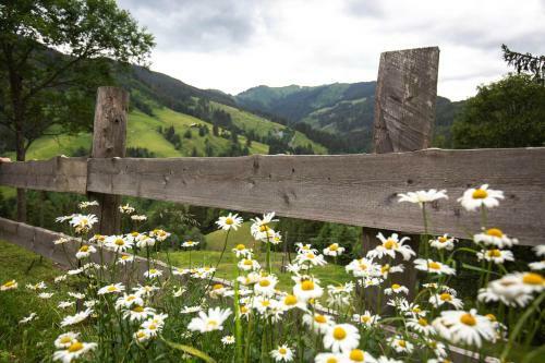 Ferienhaus Almh�tte Gut M�hlreit