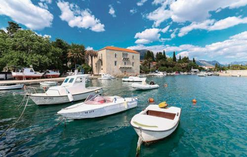 Apartamentos Palmaja