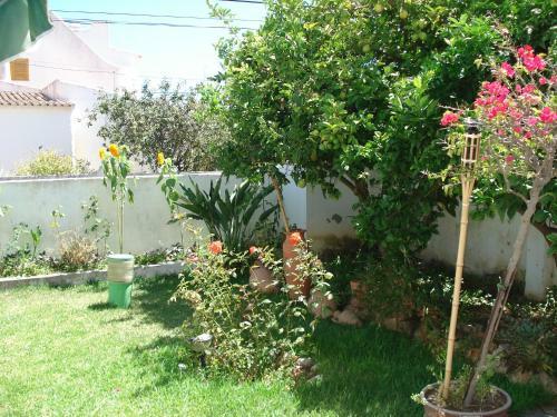 Hostal Lemon Tree Relaxing Guesthouse