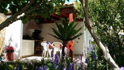Hostal Lemon Tree Relaxing Guesthouse