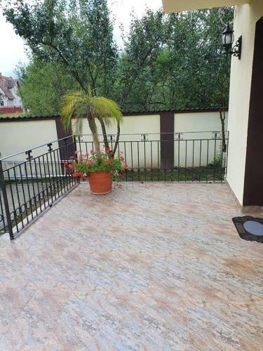 Villa Casa Cu Ceas
