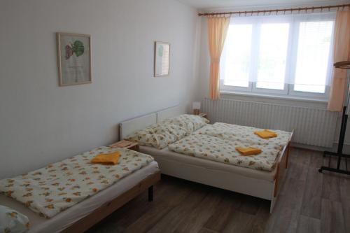 Penzion Jak� Sv?t Nevid?l
