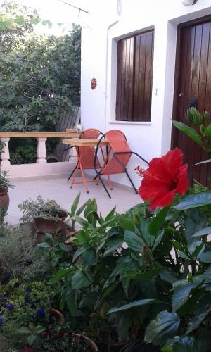 Hostal ?mmos Rooms