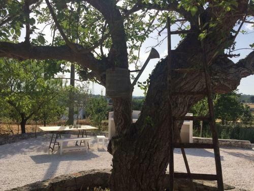 Agroturismo I Matrulli