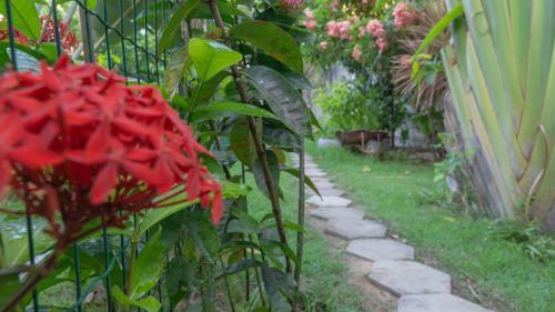 Chal�s Das Cores