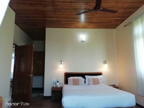 Hotel Pine Haven Resorts