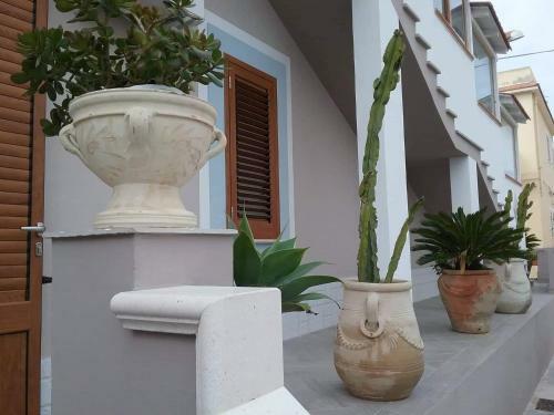 Hostal Dolcelina Home