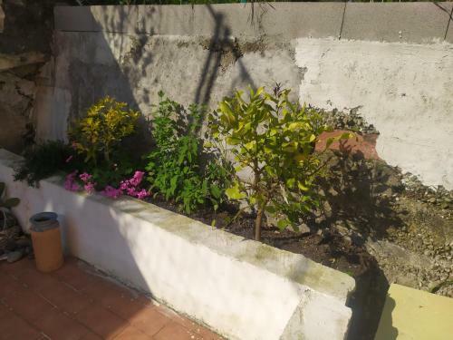 Apartamento Canoa Quebrada