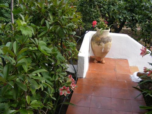 Apartamento Villa Eoliana