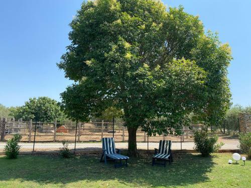 Apartamento Agriturismo Podere Pizzicagallo