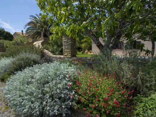 Apartamento Agriturismo Podere Pizzicagallo