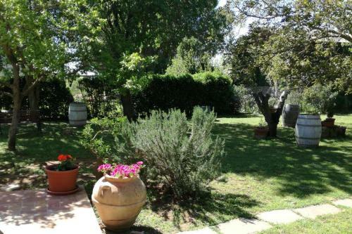 Apartamento Agriturismo Podere Pizzicagallo