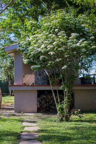 Apartamento Agriturismo Podere Pizzicagallo
