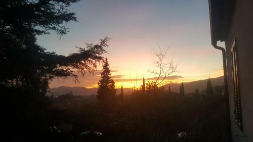 I Gechi - Marina Di Campo
