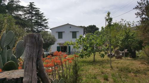 I Gechi - Marina Di Campo