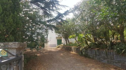 I Gechi - Marina Di Campo