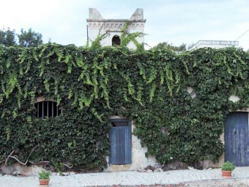 Apartamento Bio Masseria La Cimarra