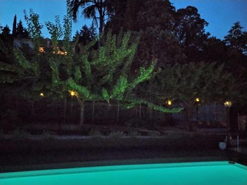 Apartamento Agriturismo Terre Verae