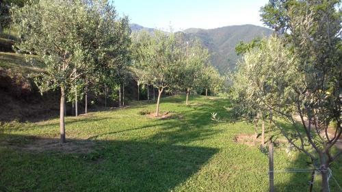 Apartamento Agriturismo Terre Verae