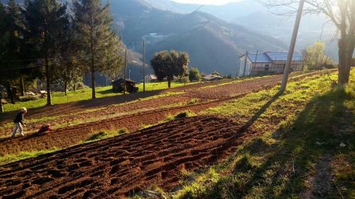 Apartamento Agriturismo Terre Verae