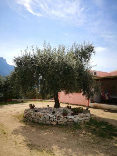 Agroturismo Villa L'oleandro