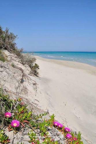 Agroturismo Perla Del Salento