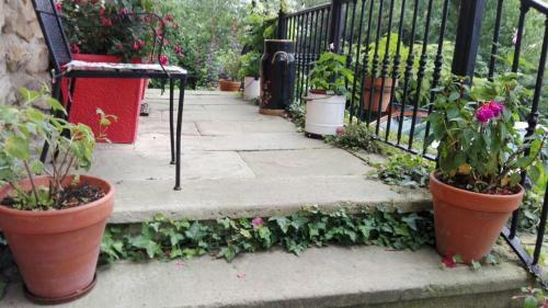 Hotel B&B El Jard�n De Aes