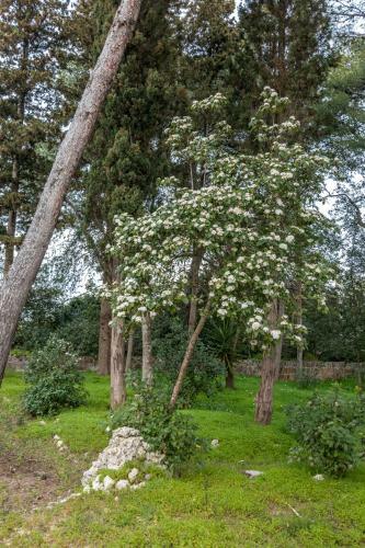 Villa Giulio B&B Dimora Storica