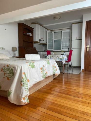 Apartamento Estudio En El Casco Hist�rico
