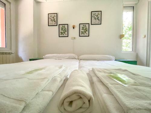 Arena Surf Hotel