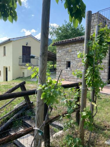 Agroturismo La Busca