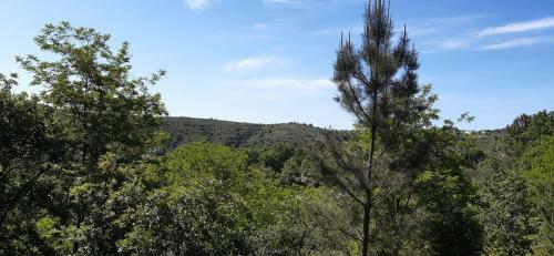 Caravane Joyeuse Mas Des Ch�nes