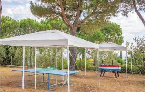 Apartamentos Teodoro 1