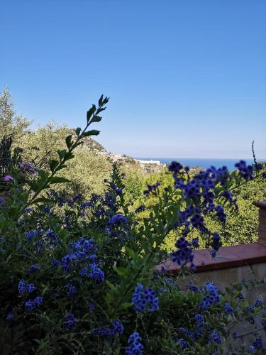 Villa Chris