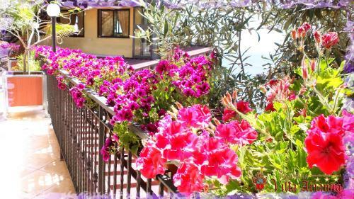 Villa Arianna B&B