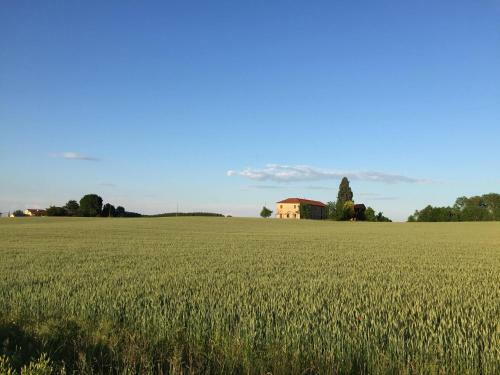 Apartamento Valenza Gold