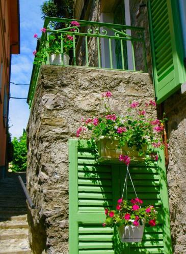 Hostal Casa Contrada Bella